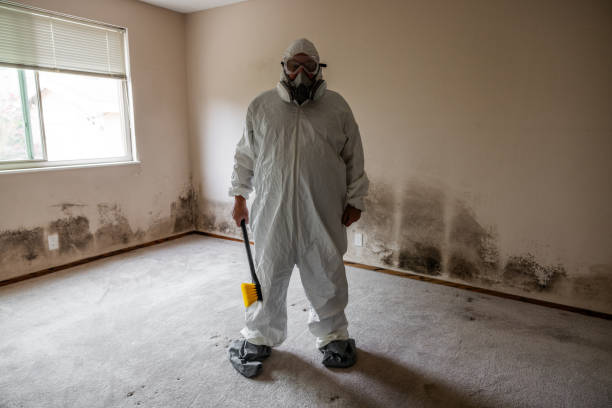 Best Residential Mold Removal  in Syracuse, IN